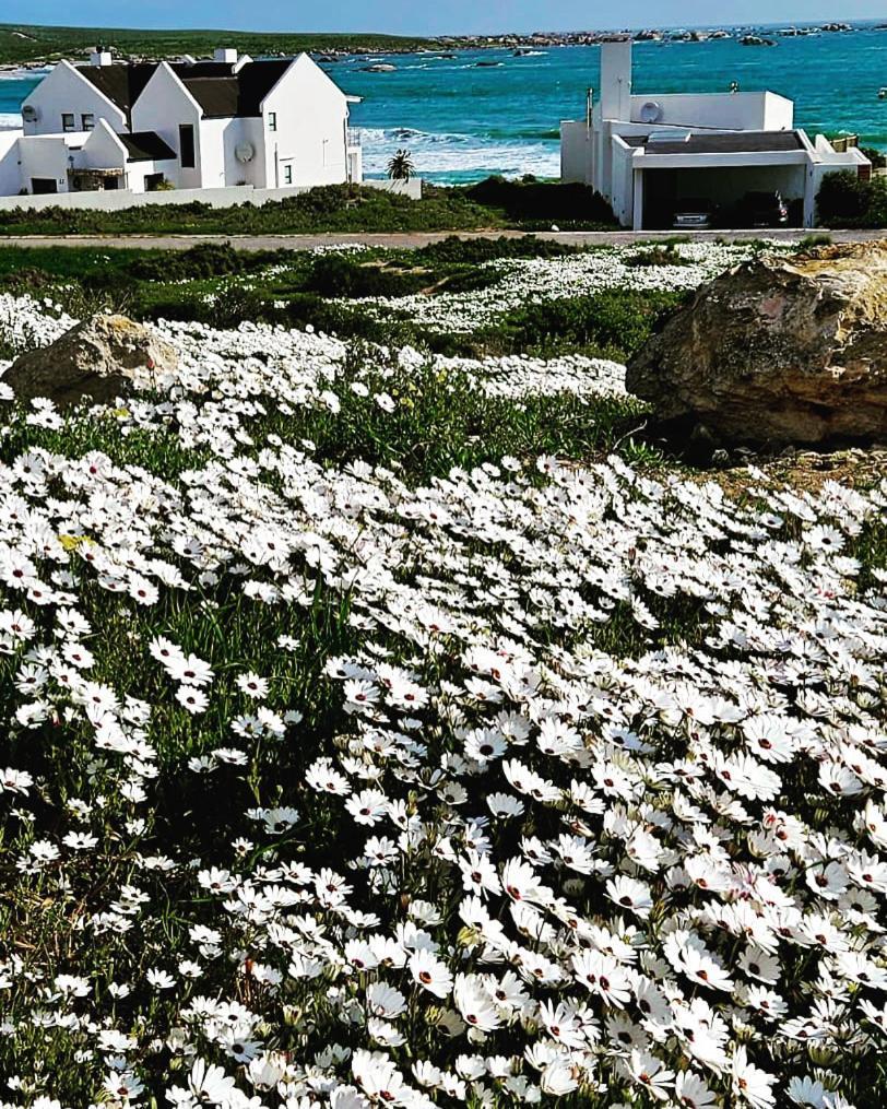 Sonkwas 10 Villa Paternoster Bagian luar foto